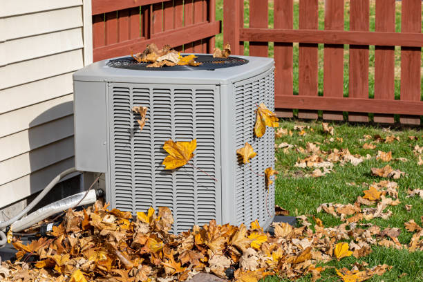 Best Local HVAC Companies  in Chariton, IA